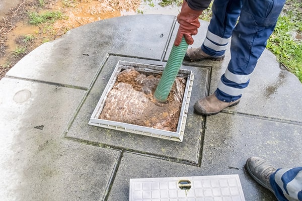the roots of trees and other vegetation can infiltrate and clog the cesspool, requiring pumping to remove the blockage and restore proper function